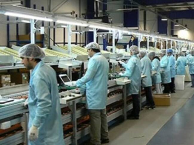 En ascenso la confianza del productor en enero: INEGI