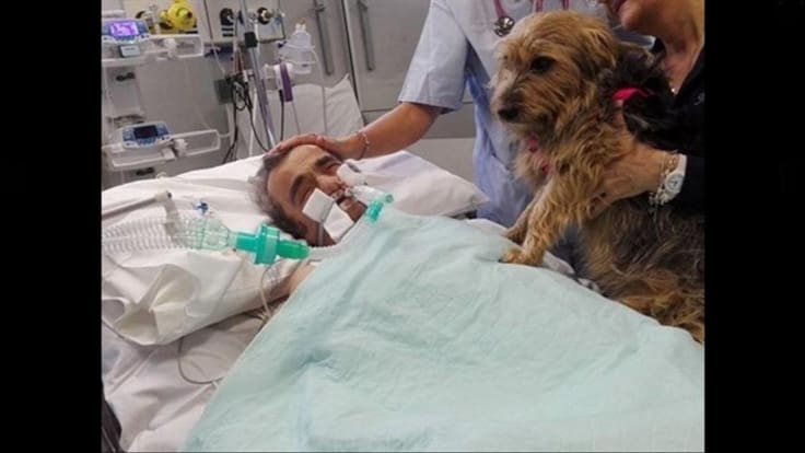 Hombre cae en coma, su mascota lo visita y reacciona