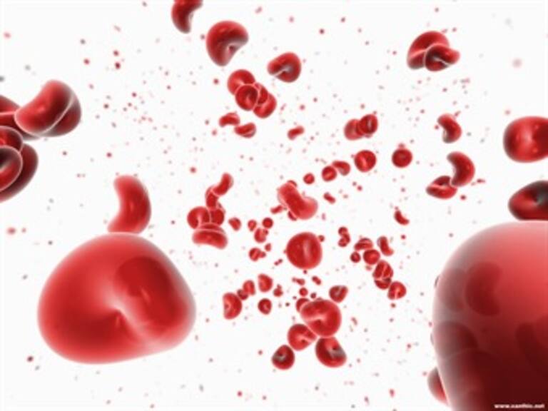 ¿Sabes qué tipo de sangre eres?