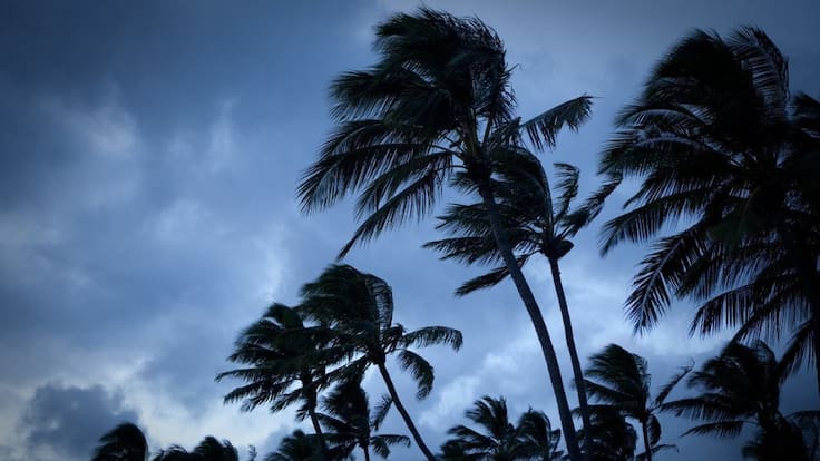 Ciclón tropical Alex: ¿Cuándo llegará a costas mexicanas del Caribe?