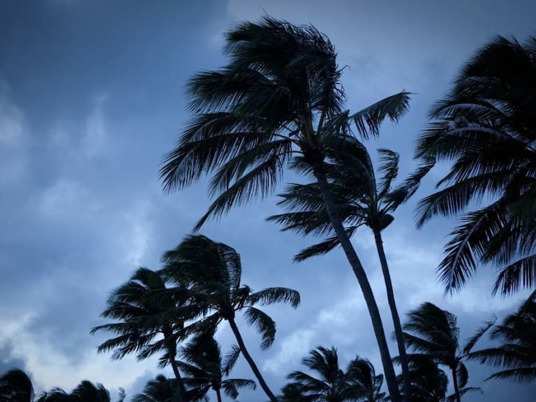 El ciclón tropical Alex podría tocar costas del Caribe Mexicano.