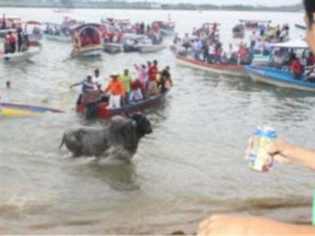 Maltrato a toros en Veracruz. Maria Elena Hoyo, activista por los derechos de los animales. 02/02/13