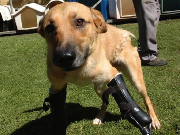 Conoce la historia de ‘Pay de Limón’