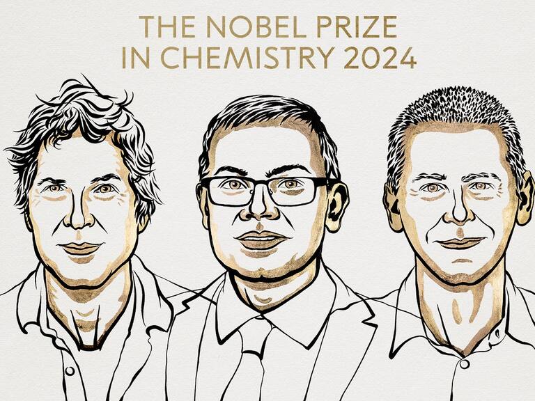 El Premio Nobel de Química 2024 fue otorgado a David Baker, Demis Hassabis y John Jumper por sus desarrollos con IA y proteínas