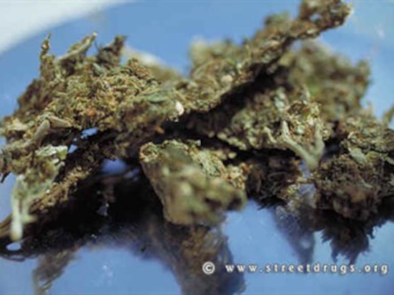 Llama Creel a debatir legalización de mariguana