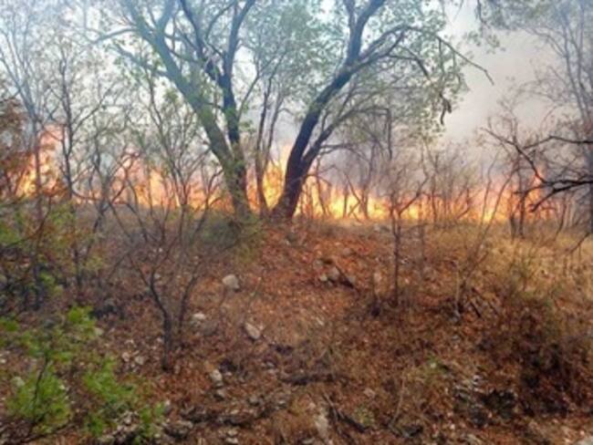 Intensifican fuertes vientos incendios en Coahuila