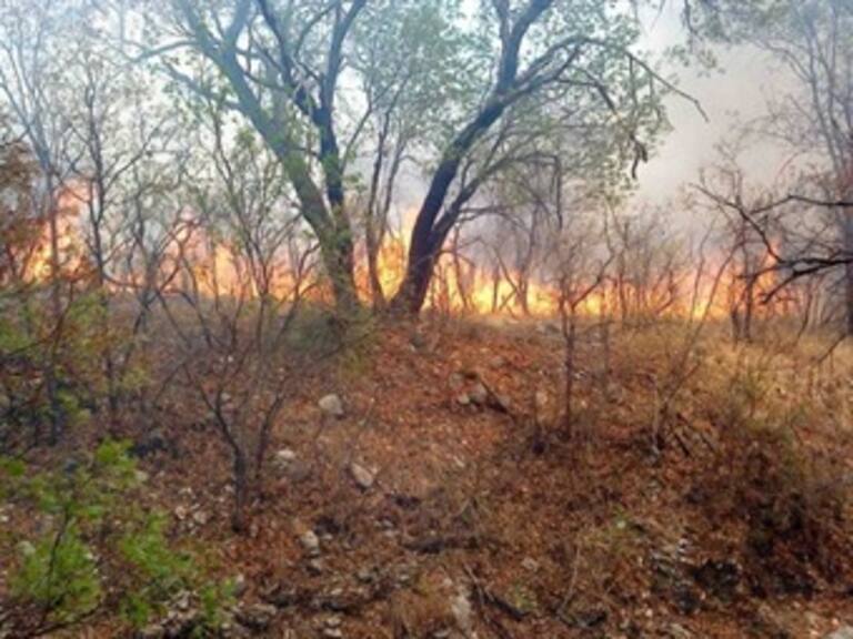 Intensifican fuertes vientos incendios en Coahuila