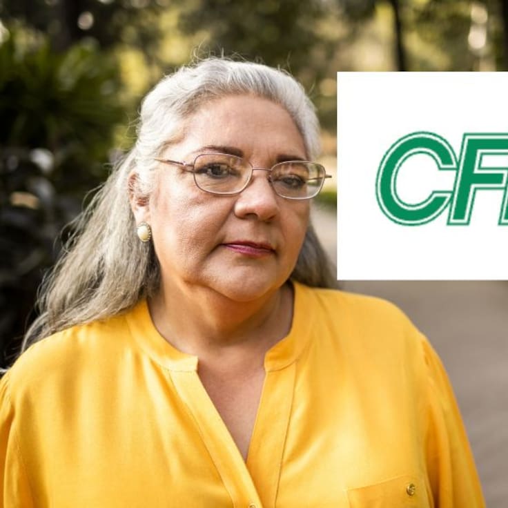 CFE descuentos 2026: ¿existen rebajas especiales para adultos mayores o pensionados?