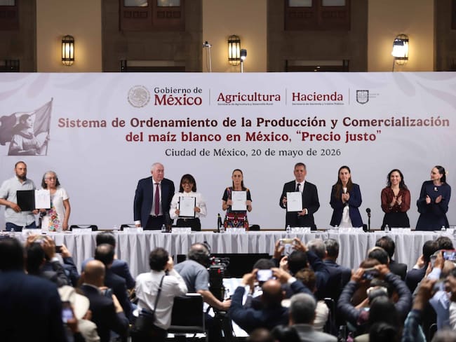 Sheinbaum anuncia acuerdo para garantizar precio justo del maíz blanco