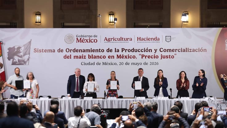Sheinbaum anuncia acuerdo para garantizar precio justo del maíz blanco