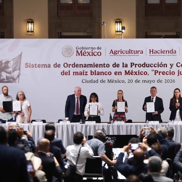 Sheinbaum anuncia acuerdo para garantizar precio justo del maíz blanco