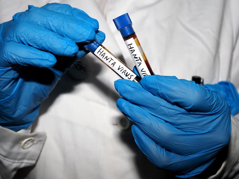 Emite México alerta epidemiológica por hantavirus tras brote en crucero