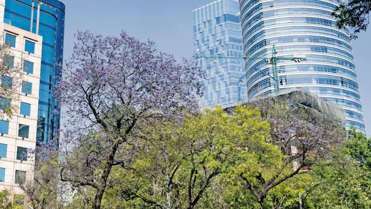 ¿Lloverá hoy en CDMX? Este es el pronóstico de lluvias para hoy y mañana