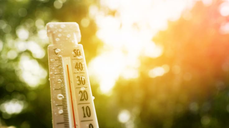 Programa Especial de Cambio Climático 2026 a 2030: Metas y estrategias de Semarnat