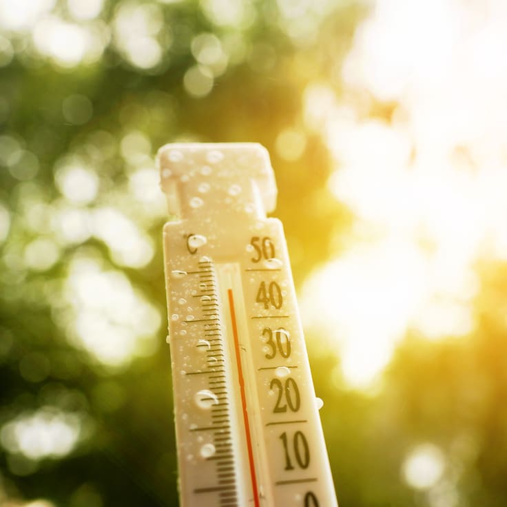 Programa Especial de Cambio Climático 2026 a 2030: Metas y estrategias de Semarnat