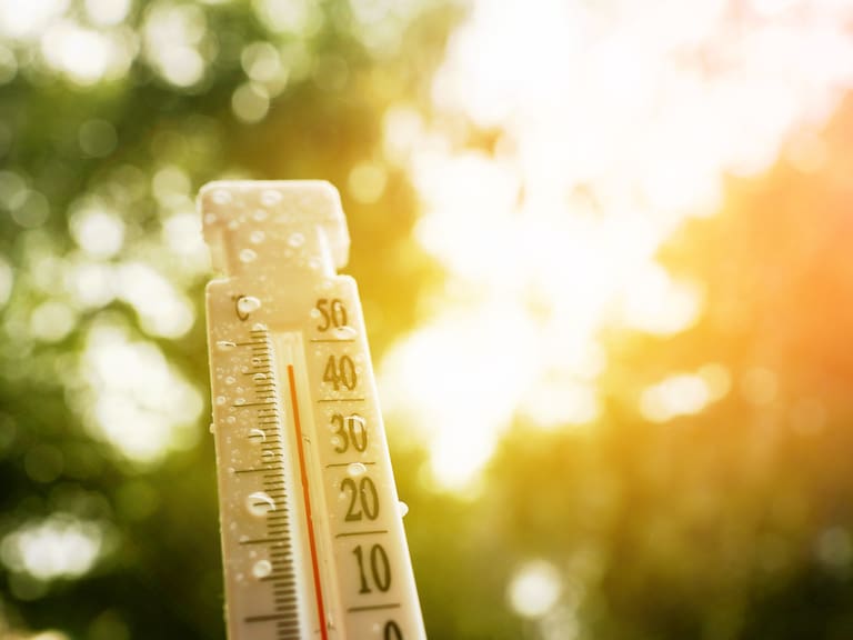 Programa Especial de Cambio Climático 2026 a 2030: Metas y estrategias de Semarnat