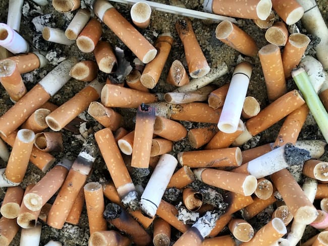 Por un mejor ambiente; recogen 27 mil colillas de cigarro en playa Miramar