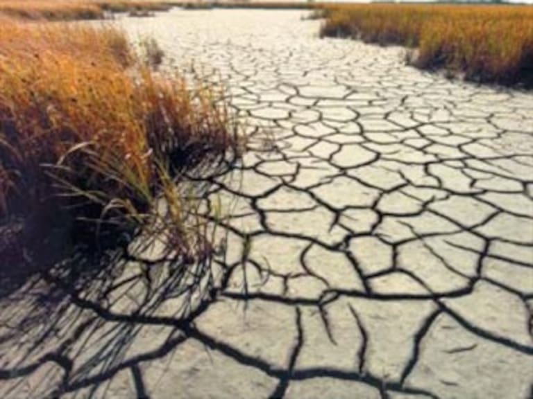 Solicitan declarar zona de desastre en 12 estados por sequía