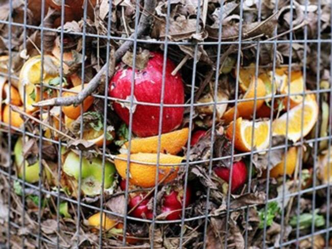 Descubre cuál es el futuro de la comida