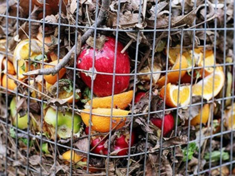 Descubre cuál es el futuro de la comida