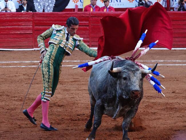 La Secretaría de Agricultura está obligada a sancionar las corridas de toros en México: Arturo Berlanga