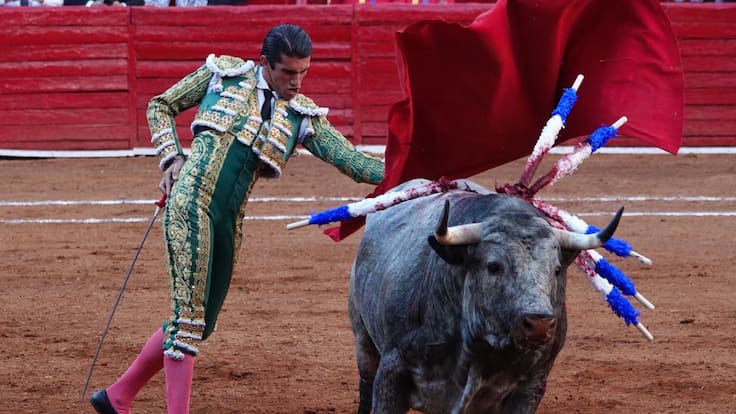 La Secretaría de Agricultura está obligada a sancionar las corridas de toros en México: Arturo Berlanga