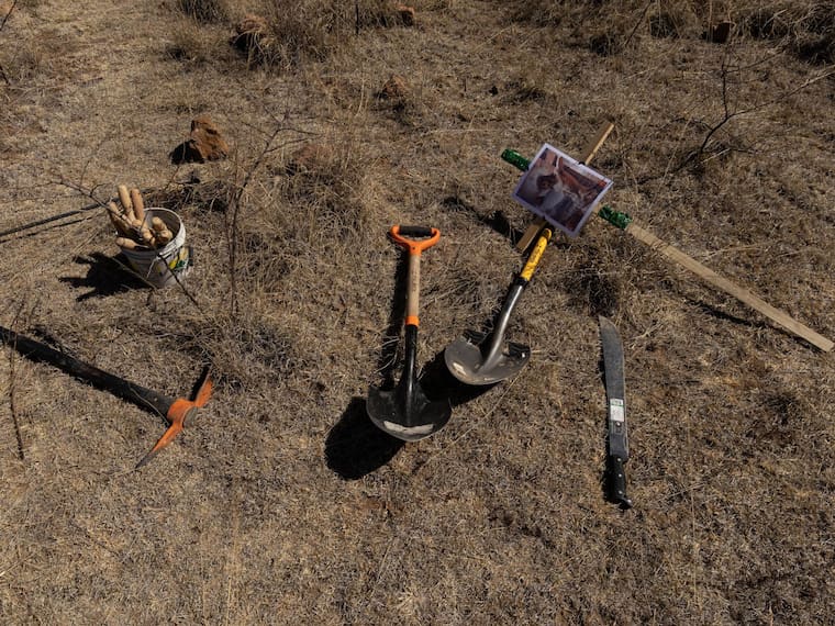 #Entrevista con Francisco Rivas