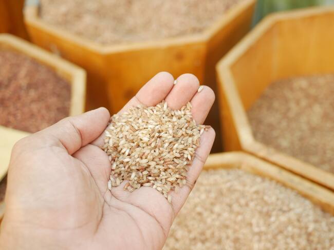 ¿Puedes desarrollar toxicidad crónica por comer arroz? La PROFECO indica cuáles son los más dañinos
