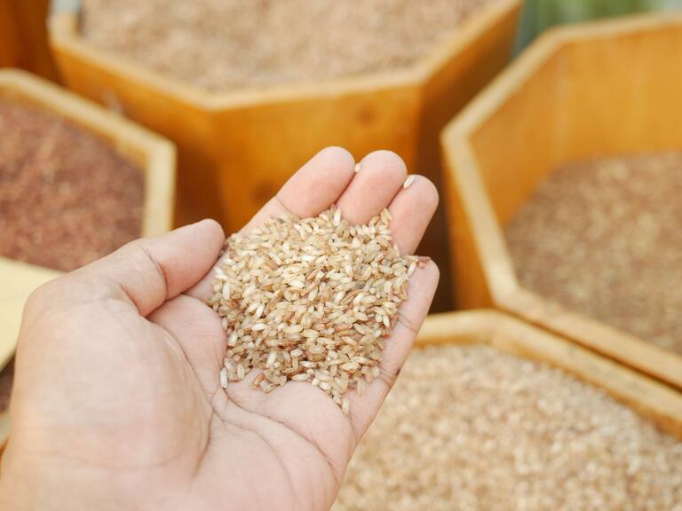 ¿Puedes desarrollar toxicidad crónica por comer arroz? La PROFECO indica cuáles son los más dañinos