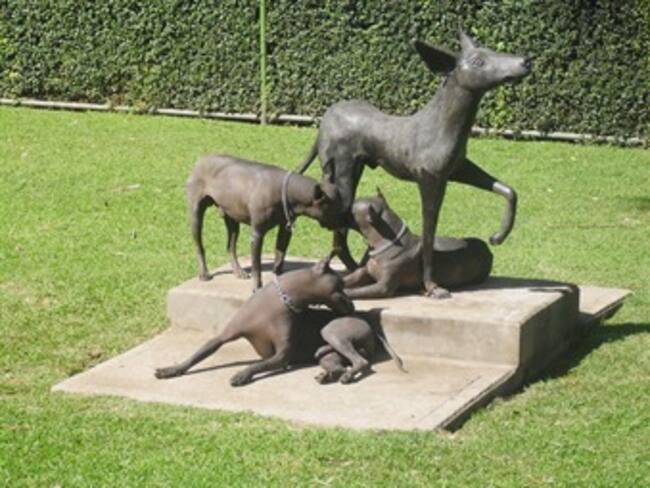 Exposiciones el el Museo Dolores Olmedo.Fernanda Quiroz,reportera