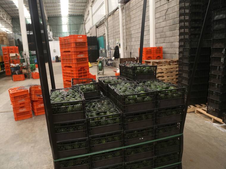 #Análisis con José Cortina