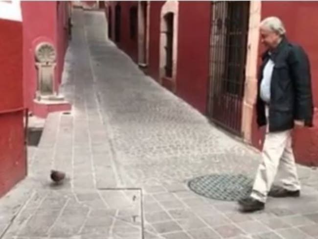 AMLO comparte video donde persigue a una paloma