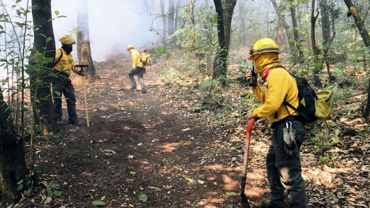 Logran controlar al 100 por ciento el incendio forestal en Tepoztlán