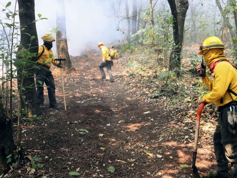 Brigadas de bomberos y voluntarios trabajan para extinguir el fuego en diversas localidades de Hidalgo