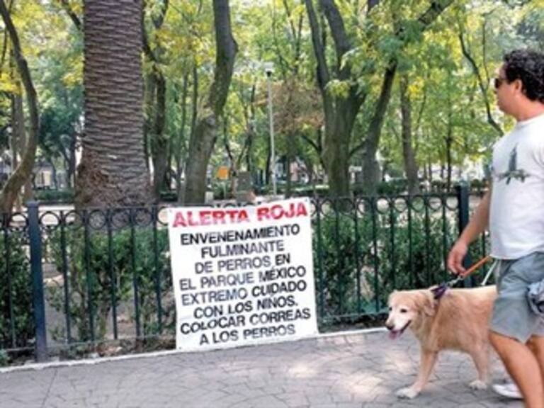 Declara mujer relacionada con la muerte de perros en la Condesa