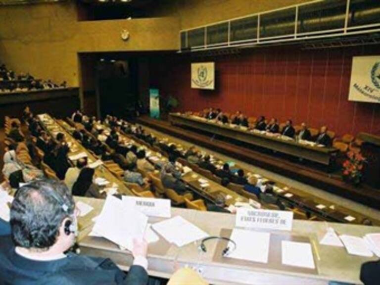 Confirma ONU que 2010 fue el año más caluroso jamás registrado