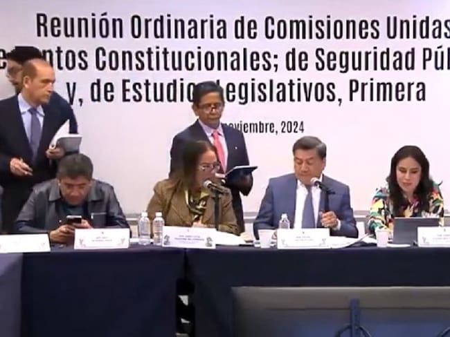 Aprueban en el Senado la “súper Secretaría” para Harfuch