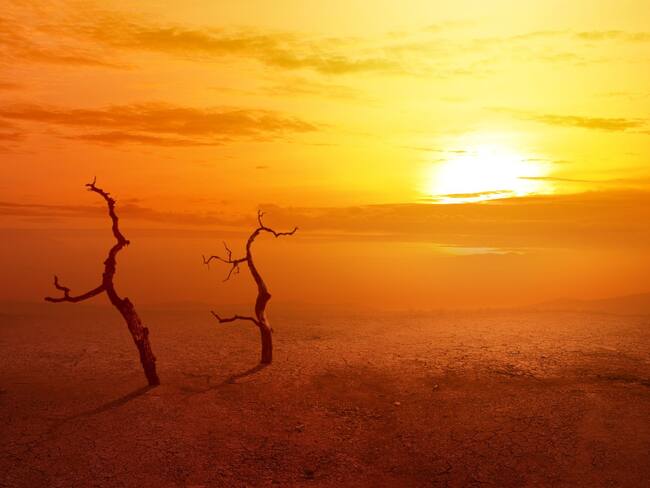 ¿Qué provocará El Niño en 2026? La ONU alerta por fenómenos climáticos extremos