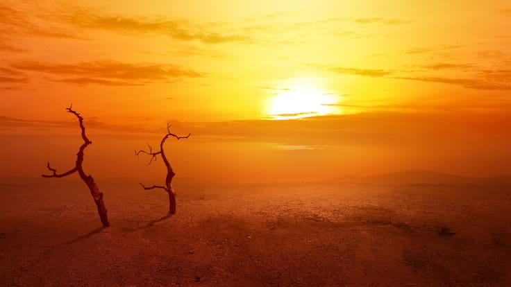 ¿Qué provocará El Niño en 2026? La ONU alerta por fenómenos climáticos extremos