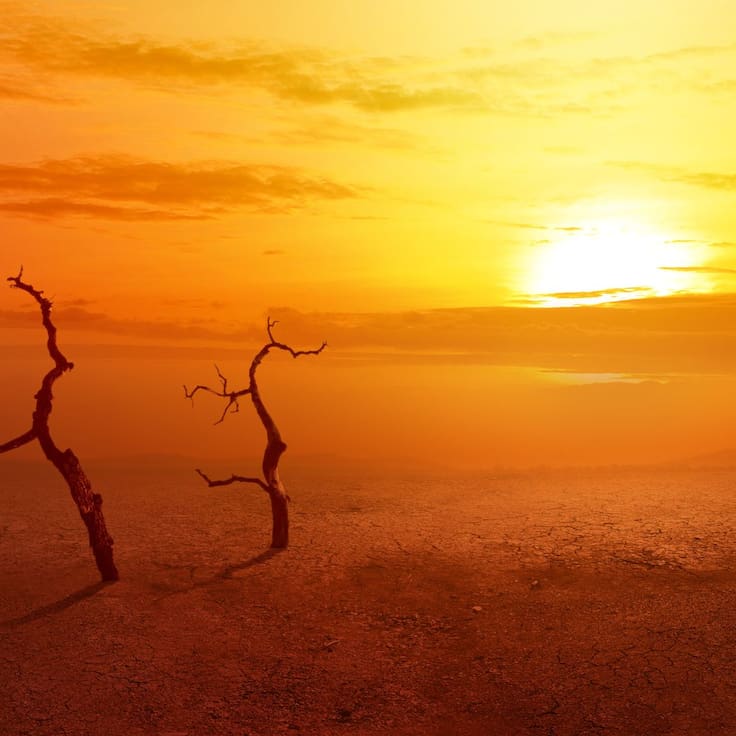¿Qué provocará El Niño en 2026? La ONU alerta por fenómenos climáticos extremos