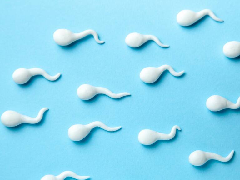 Eyaculación precoz y anorgasmia: ¿De qué equipo eres?