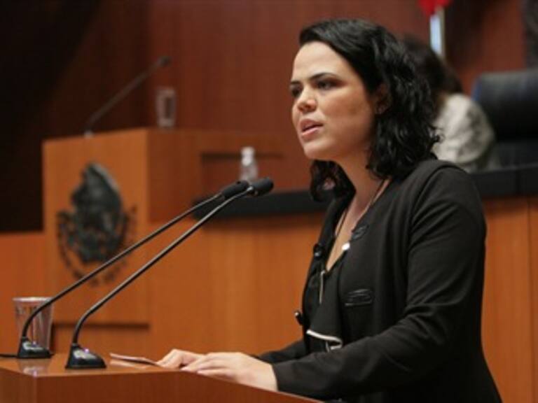 Pide PAN en Senado auditoría federal a la Línea 12