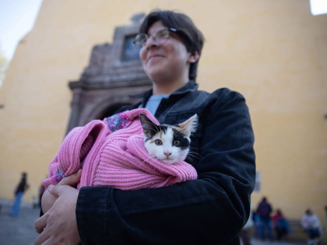 ¿Cuándo y dónde será Gatotitlán 2025 y qué actividades habrá en el festival de CDMX?