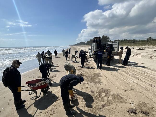 Grupo Interinstitucional despliega más de 2 mil 400 elementos coordinados para atender la presencia de hidrocarburos en costas de Veracruz y Tabasco