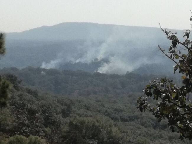 Se registra incendio en Bosque de la Primavera