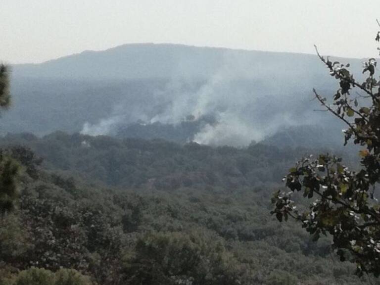 Se registra incendio en Bosque de la Primavera