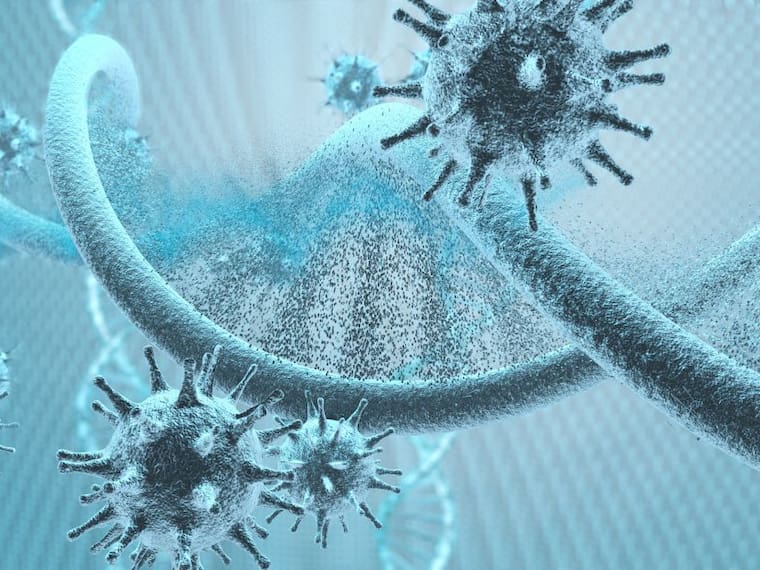 ¿Qué es la inmunidad celular y por qué es una esperanza ante el COVID-19?