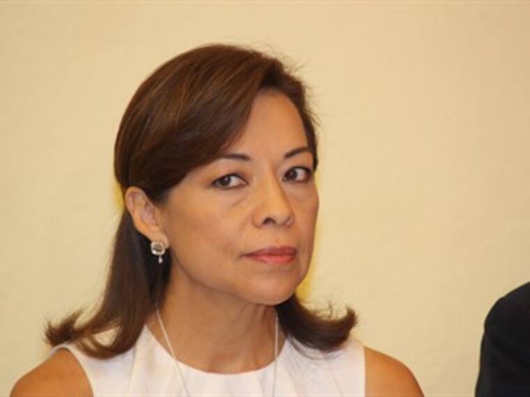 Contienda interna PAN. Josefina Vázquez Mota, Militande de Acción Nacional