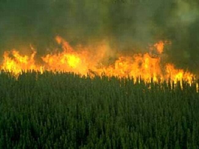 Evacuan por incendios a habitantes de zona huasteca en SLP