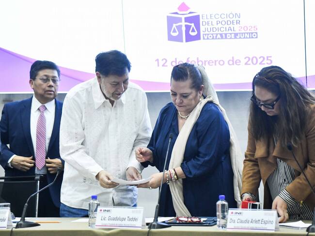 Guía paso a paso de cómo consultar la lista de los candidatos a elección judicial 2025 del INE